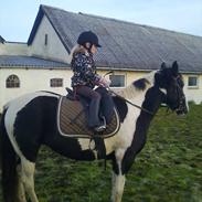 Anden særlig race Bella Donna