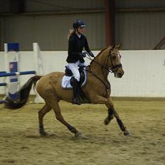 Irsk Sportspony Rivertown's Rose