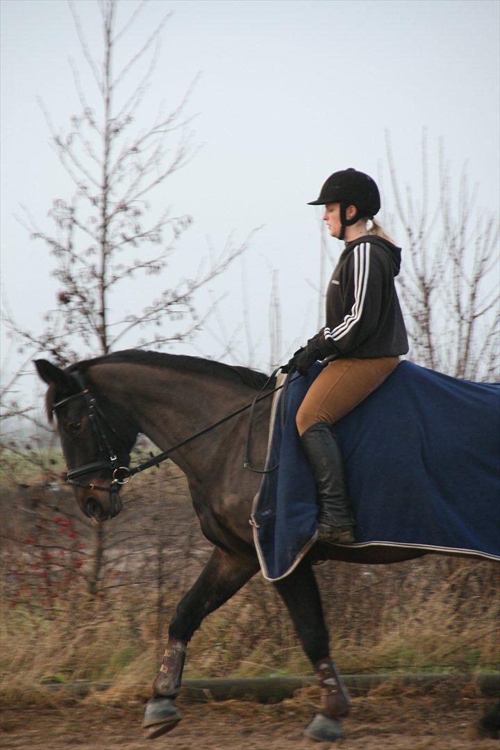 Oldenborg Verona Uhregaard billede 5