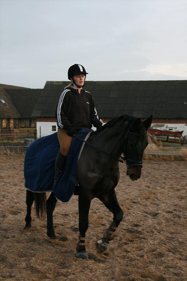 Oldenborg Verona Uhregaard billede 6