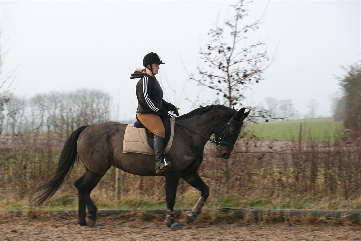 Oldenborg Verona Uhregaard billede 7