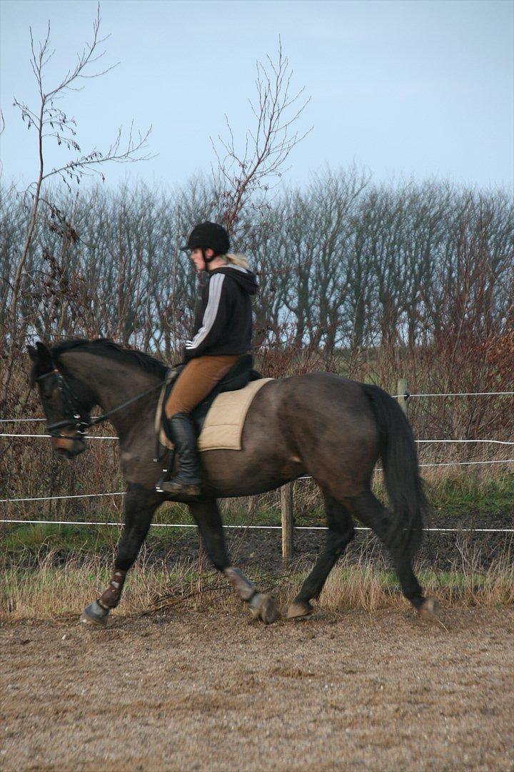 Oldenborg Verona Uhregaard billede 8