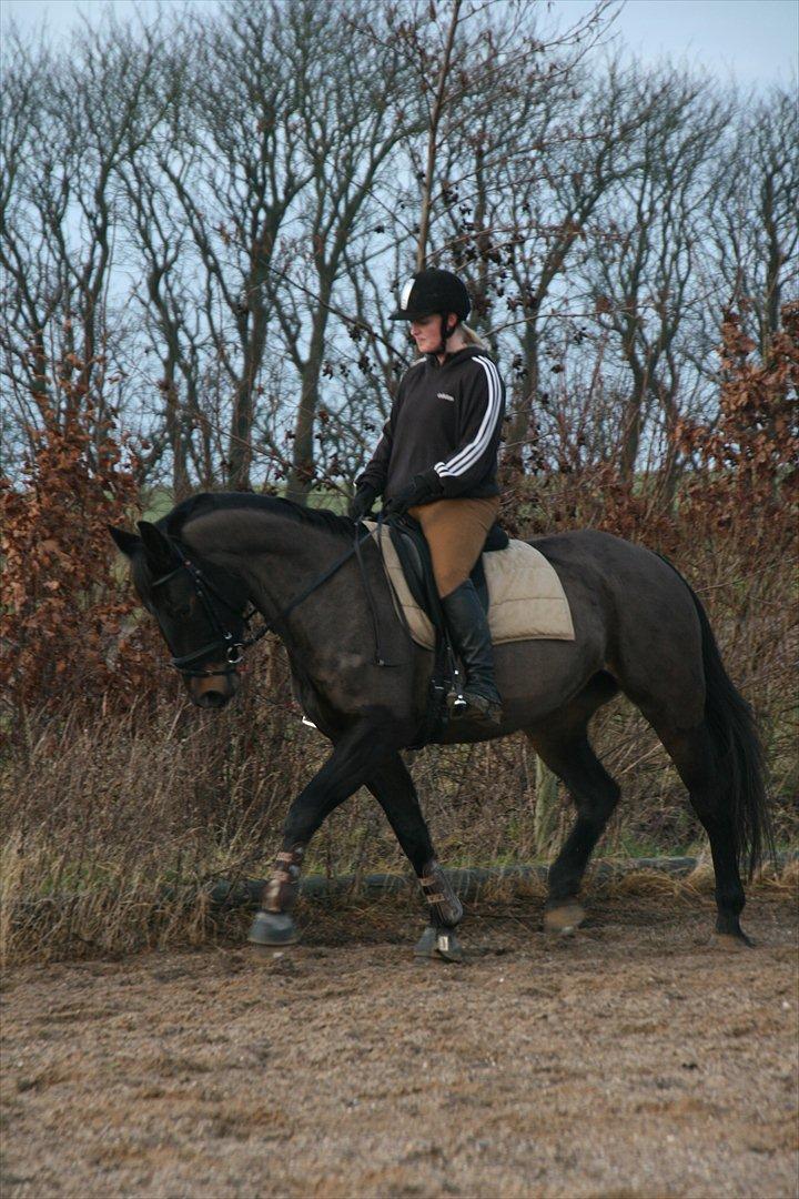 Oldenborg Verona Uhregaard billede 9