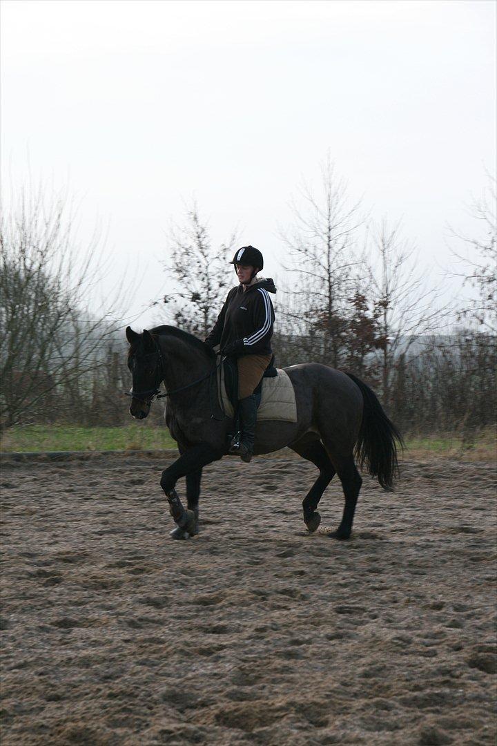 Oldenborg Verona Uhregaard billede 10