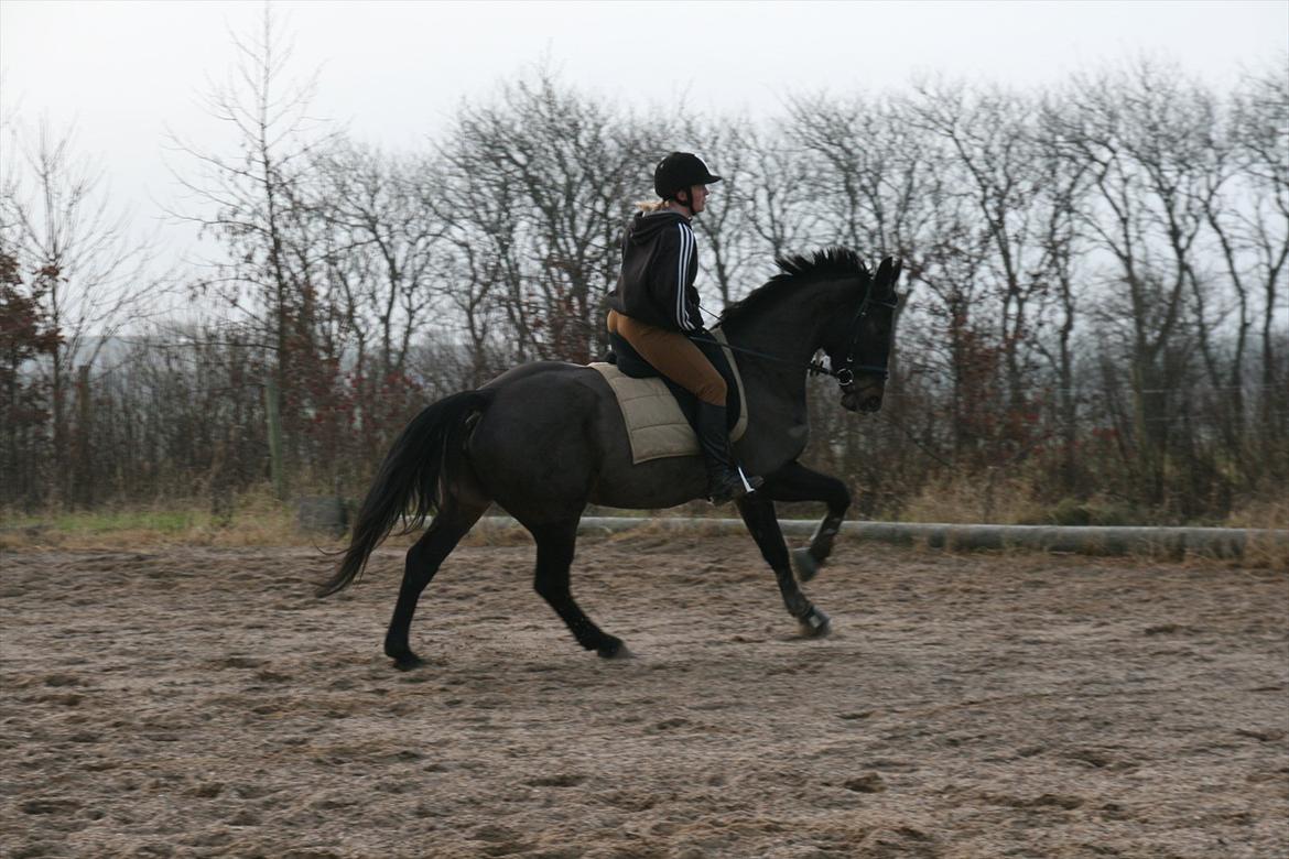 Oldenborg Verona Uhregaard billede 13