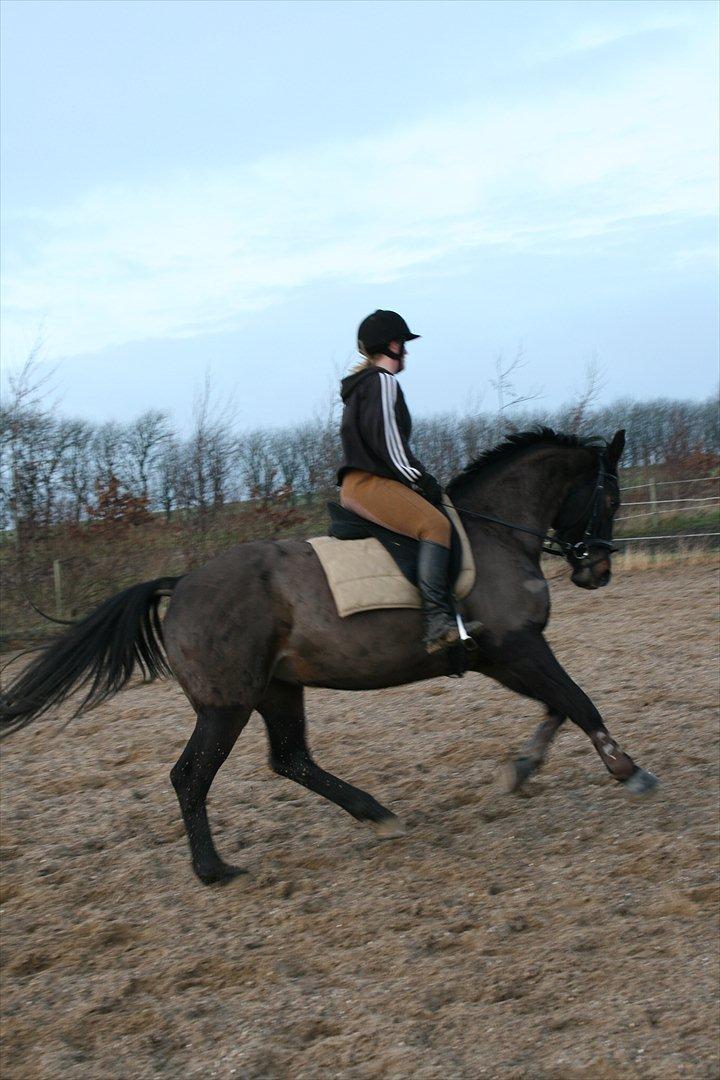 Oldenborg Verona Uhregaard billede 14