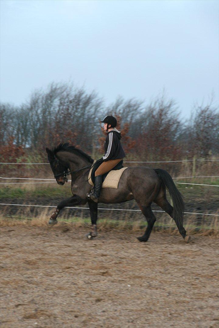 Oldenborg Verona Uhregaard billede 15