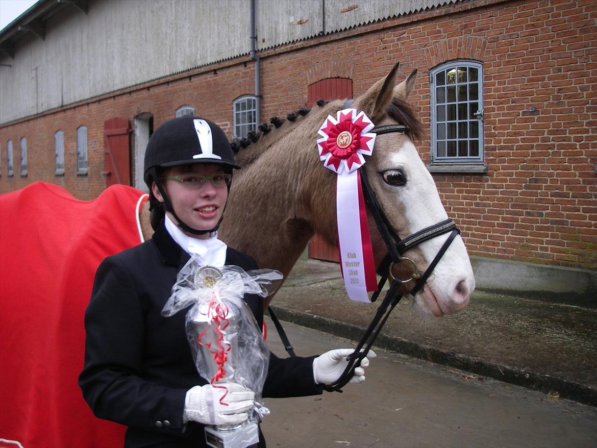 DSP Gloria  B-Pony - klubmester 2011 på LSP i spring <3 (red mod alle hestene) billede 18