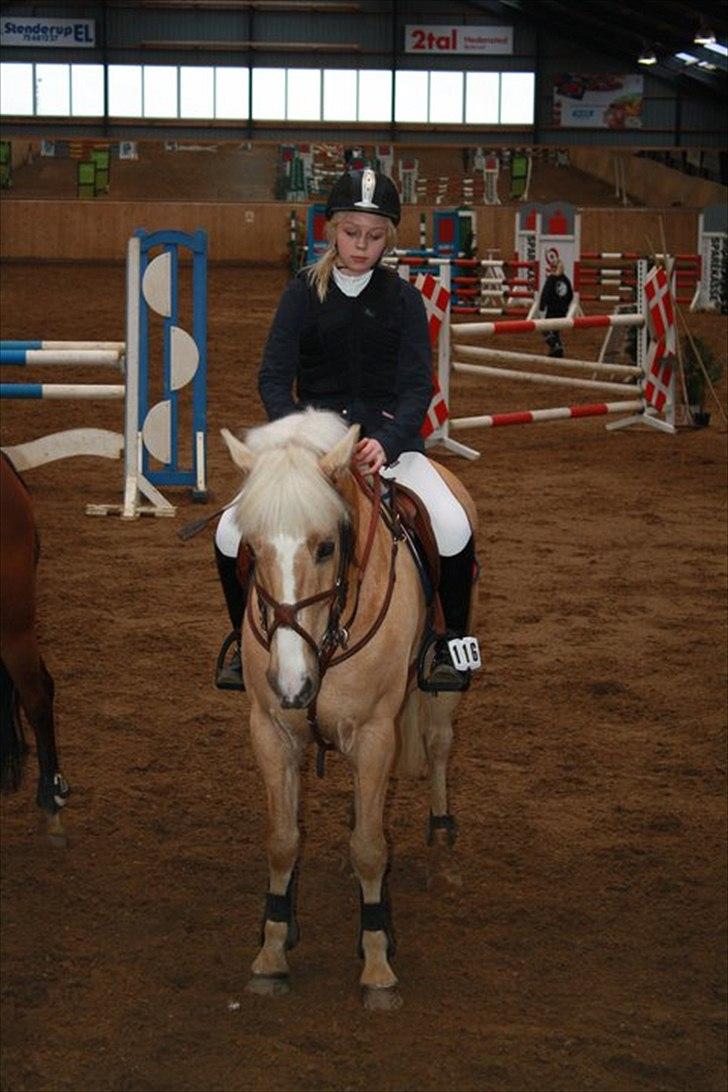 Anden særlig race Yellow Prince - Træt pony... 2. plads i Mb** billede 16