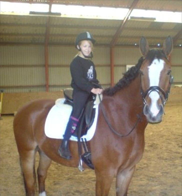 Oldenborg Buddy?Himmelhest-RIP! - Dengang jeg var 8(-: billede 11