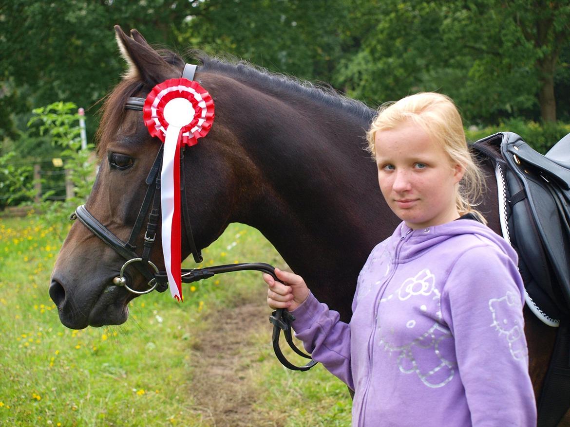 Hollandsk Sportspony Flipper<3 energibumben<3 - godt være vi kun har en fucking præmie men det gør sq ikke noget så længe du min har jeg vundet<3 billede 1