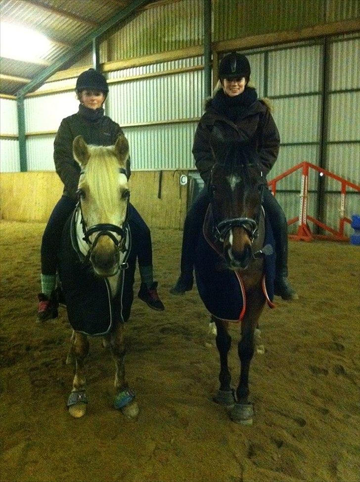Irsk Sportspony Midnight Exspress - Den 16/12 hygge med Julie & prinserne<3 billede 20