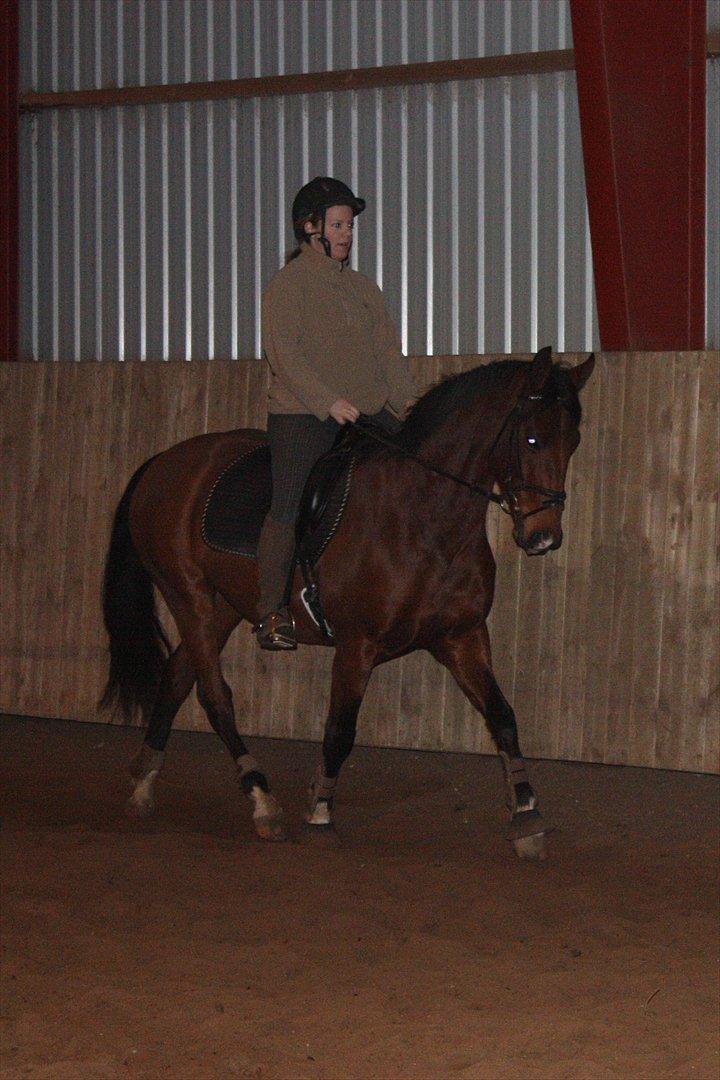 Anden særlig race Schack billede 3