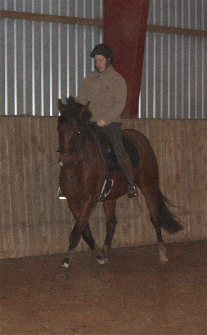 Anden særlig race Schack billede 6