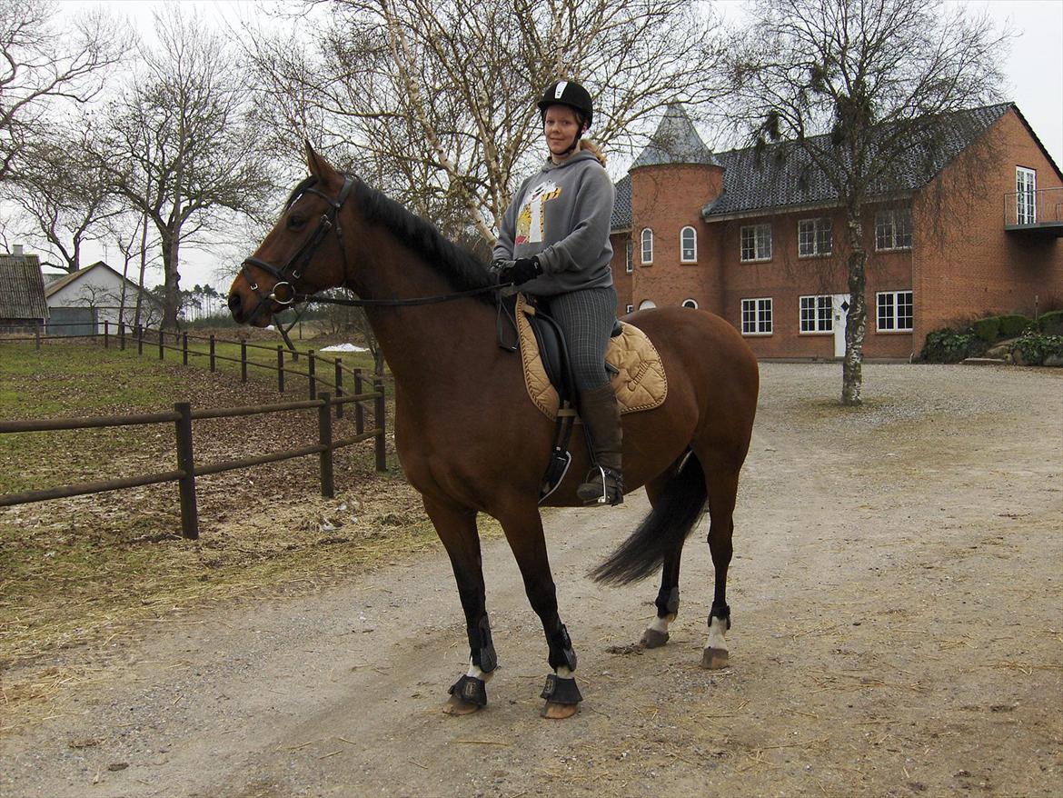 Anden særlig race Schack billede 13