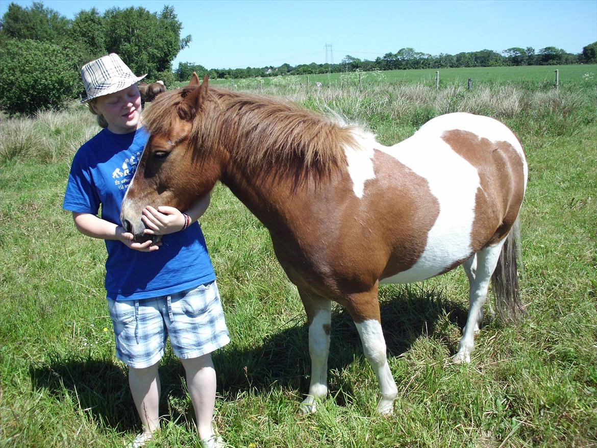 Anden særlig race Prins Bob aka Bobber - hyggedyret :D billede 3