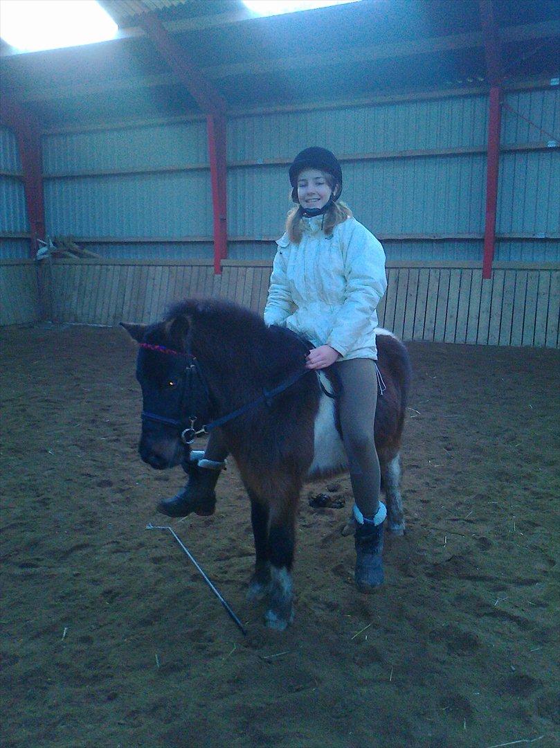 Anden særlig race Hannibal  (BFF<3) - Miig der sidder på skønne Hannibal ;D billede 15