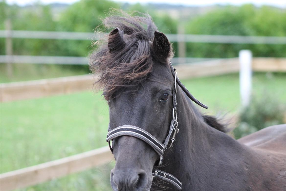 Anden særlig race trunte Min tyksak<3 billede 15