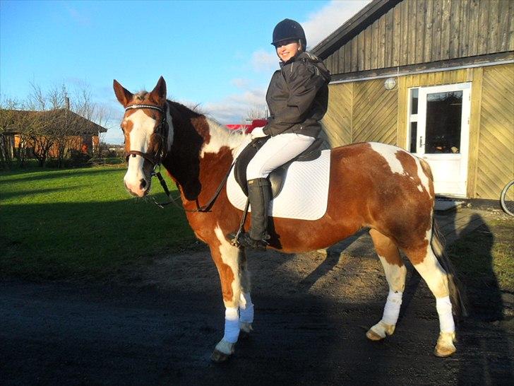 Pinto † Pucahontas † - Første stævne med dig <3  billede 7