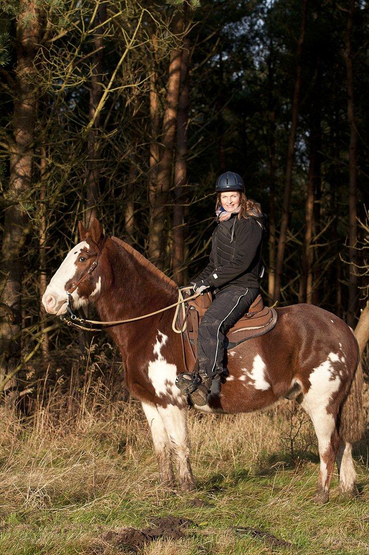 Criollo Mancha billede 15