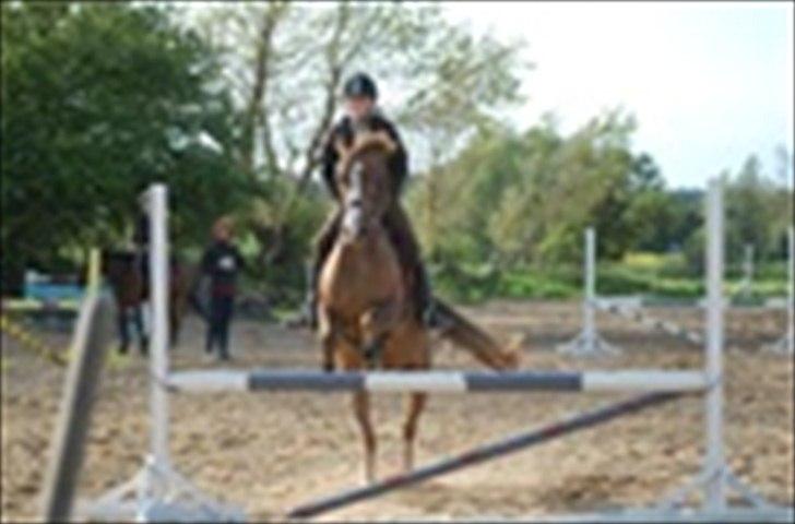 DSP Verdens bedste NYHOLM´S JUNIPER<3 - LOVE<3 billede 13