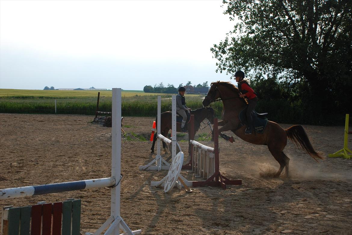 DSP Verdens bedste NYHOLM´S JUNIPER<3 - (;. billede 16