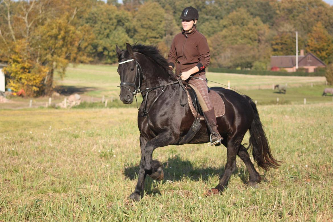 Frieser Tessa billede 1