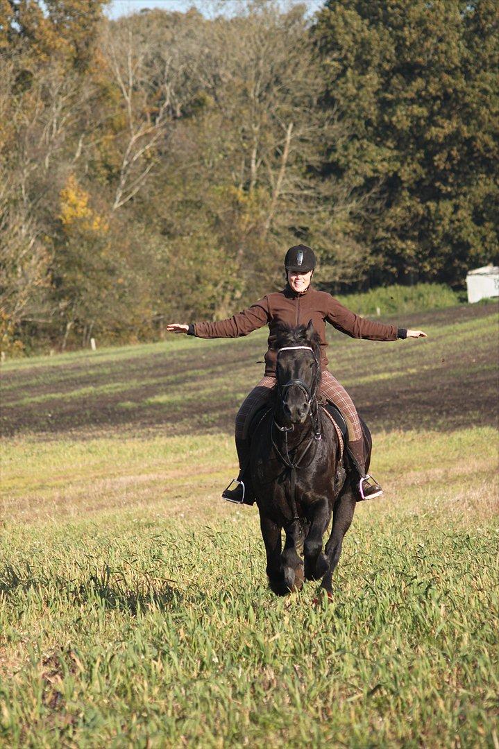 Frieser Tessa billede 9