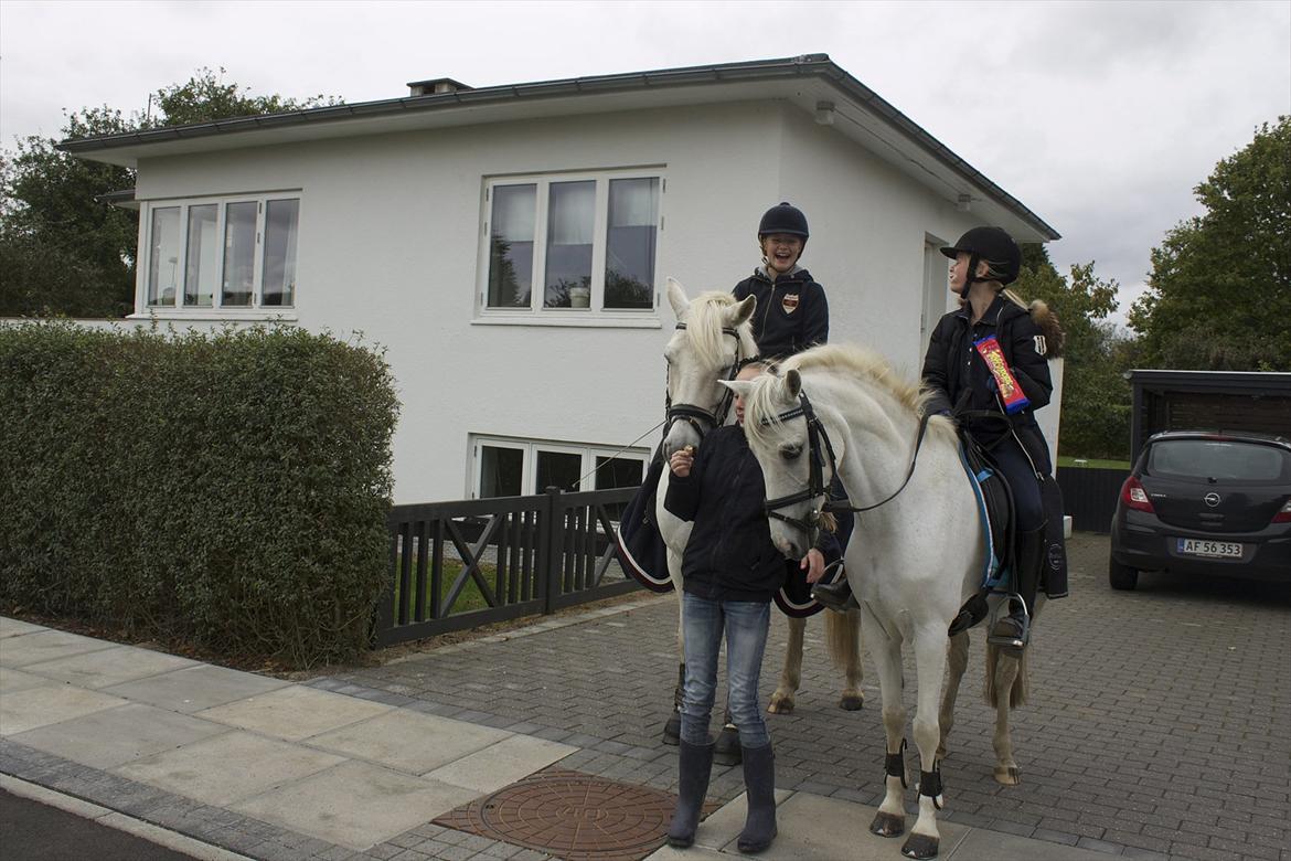 Welsh Pony (sec B) Hoelgaards Fernando - Hjemme hos Emma (Kongolur) sammen med Ellen:-D billede 15
