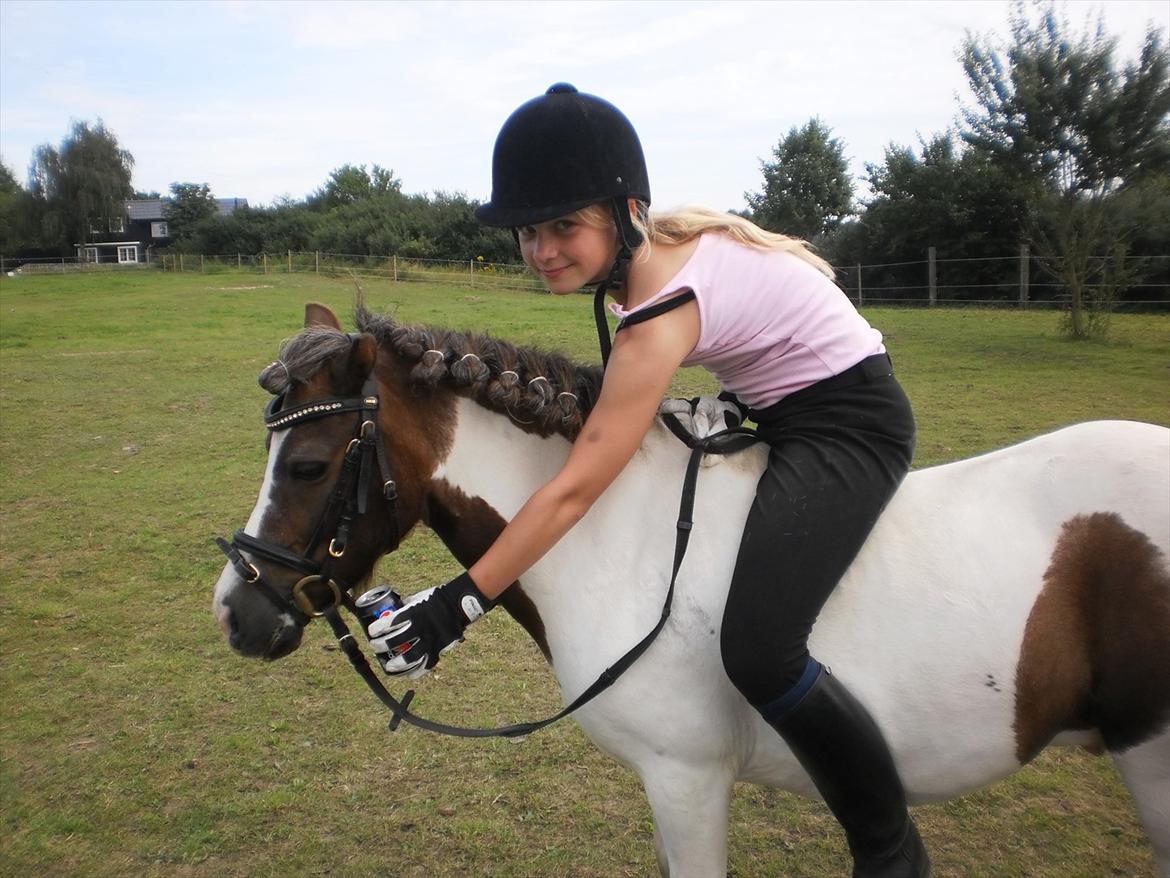 Shetlænder Prins Ludwig - Nam Nam!! Pepsi max af Anna! :P billede 11