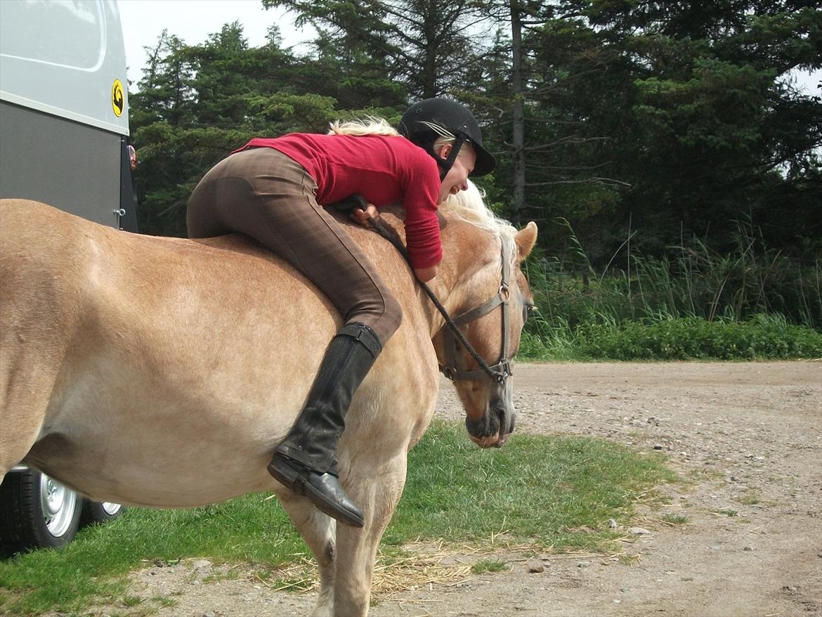 Haflinger Tulle [Solgt] - Du kan bare gøre mig så glad :D du er dare over dejlig <3 elsker dig <3
Tak fordi i kiggede med :-D billede 20