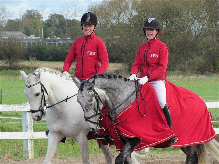 Anden særlig race [ Maybeline ] :-* - Fotograf: Mie Busk Vedel billede 6