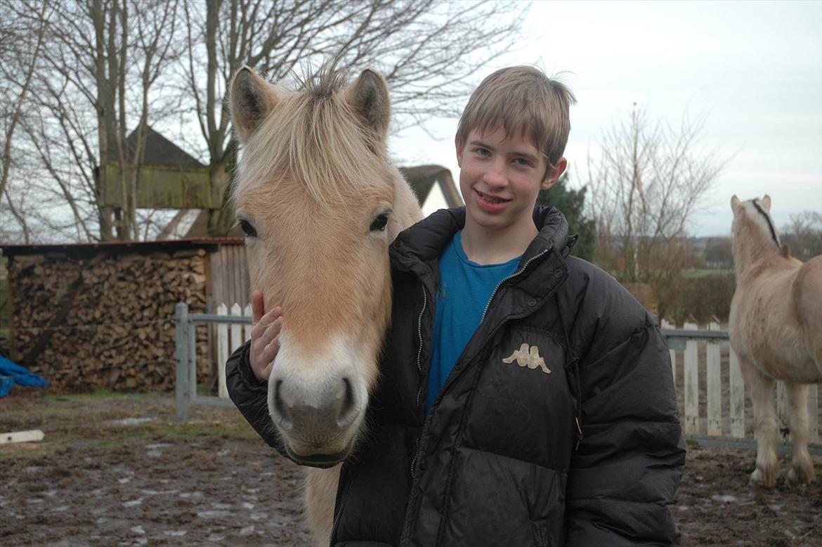 Fjordhest Bailey Schaldemose - NYT... Bailey og Mathias :-)
Foto: Camilla Schaldemose billede 20