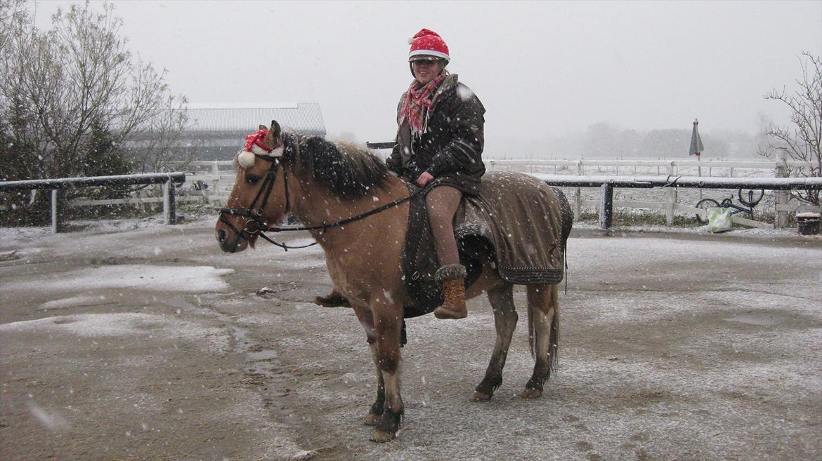 Anden særlig race Emma Merci (Min prinsesse) mit et & alt<3 - To nisser i sneen ;* <3
December 2011 billede 3