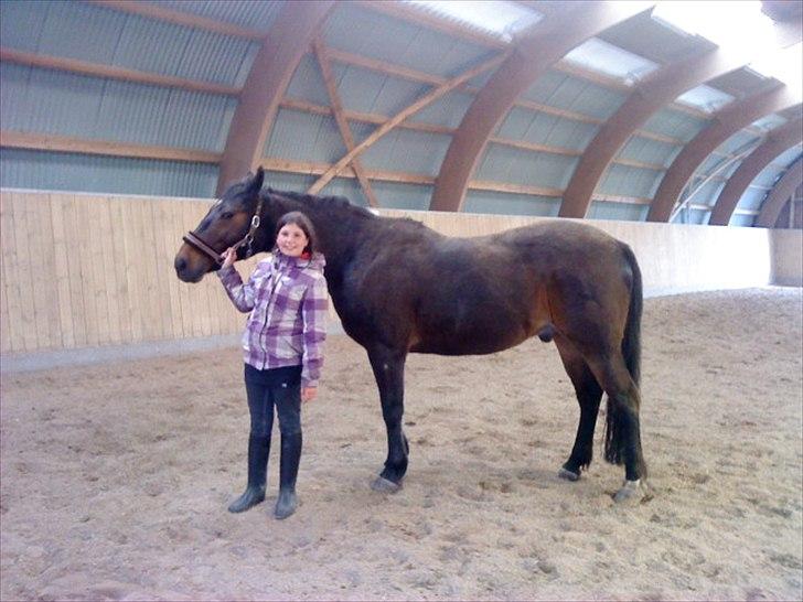 Fuldblod (XX) Smokey  - ( må ikke kopiers ) Nikoline og smokey (-: Foto: mig Louise  billede 15