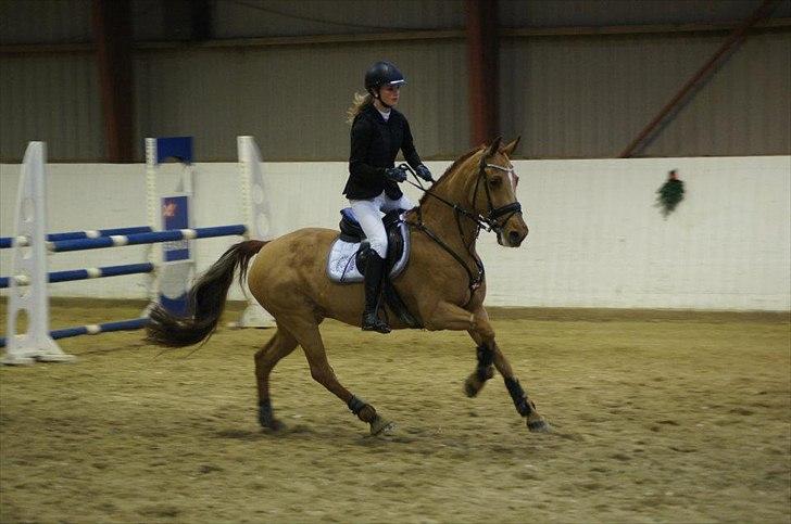 Irsk Sportspony Rivertown's Rose - Distrikt stævne - Stevenstrup. 
Anden mb hvor vi var nul *-: billede 1