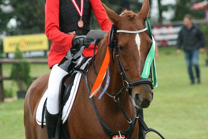 Irsk Sportspony Rivertown's Rose - Distrikt stævne - kallehavegaard.
præmieoverrækkelse Danmarks cup finale. 3 plads. billede 8