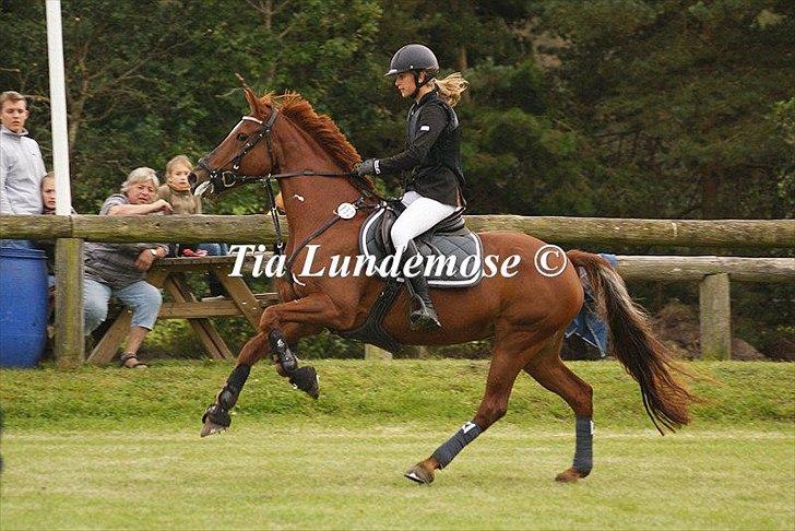 Irsk Sportspony Rivertown's Rose - Distrikt stævne - kallehavegaard.
Danmarks cup. la** lørdag. var nul. billede 10