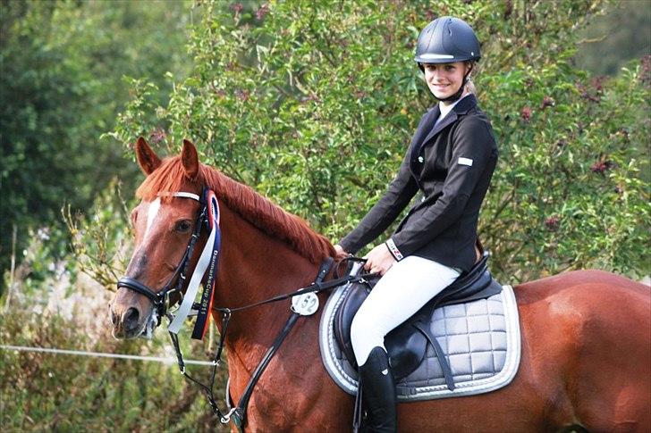 Irsk Sportspony Rivertown's Rose - Distrikt stævne - Kallehavegaard.
var nul lørdag i la** og gik vidre i finalen. billede 12