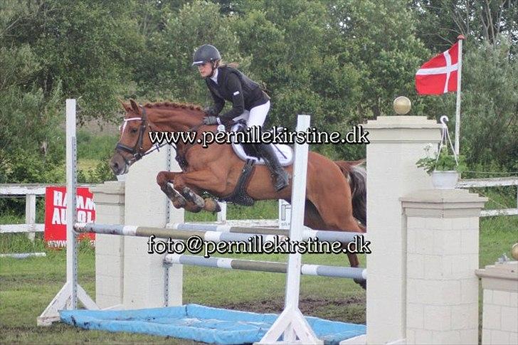 Irsk Sportspony Rivertown's Rose - Distrikt stævne - Silkeborg sports rideklub. 
Distriktmesterskab for hold 2011. billede 13