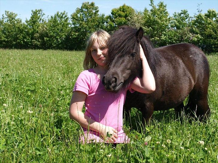 Shetlænder Daisy |My Little Pony|<3 - Mig og Daisy - sommer 2010<3
Foto: René Sørensen billede 16