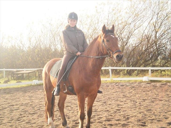 Anden særlig race Amazing Star - My Star <3 - Mig og Amazing star <3 billede 5