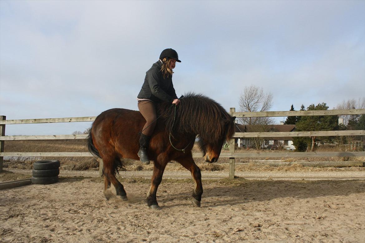 Anden særlig race Sigurd ¤Mit Eventyr :'/ ¤ - 18) Basse du betyder mere end alt for mig. Jeg elsker dig for den du er og den du gør mig til<3. Bassen går pænt i cordeo<3. Taget af SR-Photo. billede 18