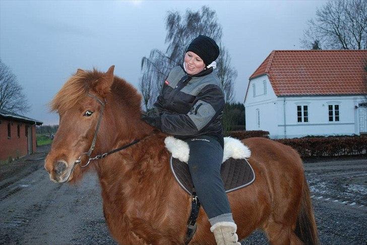 Islænder Glöd billede 5