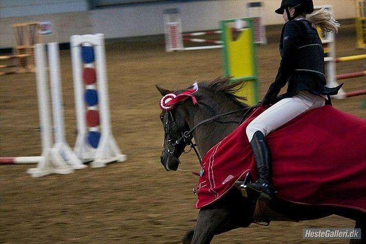 DSP Nicky<3 - Velkommen til Nicky's profil. :-D
Æresrunde. Jokerspring i HER.
Foto: Emma d. 18/12-11 billede 1