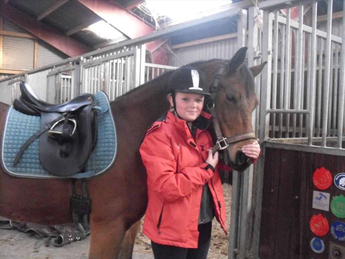 Anden særlig race Sevilla billede 15