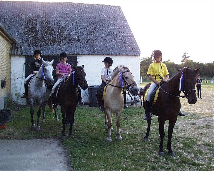 Fjordhest Nordhusets Sandy Puus RIP - Mig og Sandy til pony games stævne i bakkendrup rideklub. <3 vi vandt en anden plads, hun var SÅ god <3 billede 13
