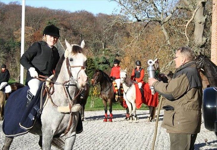 Arabisk fuldblod (OX) Fairytale of Kahlil OX - Vinder af Hubertus Jagt 2010 på Ruggard billede 12
