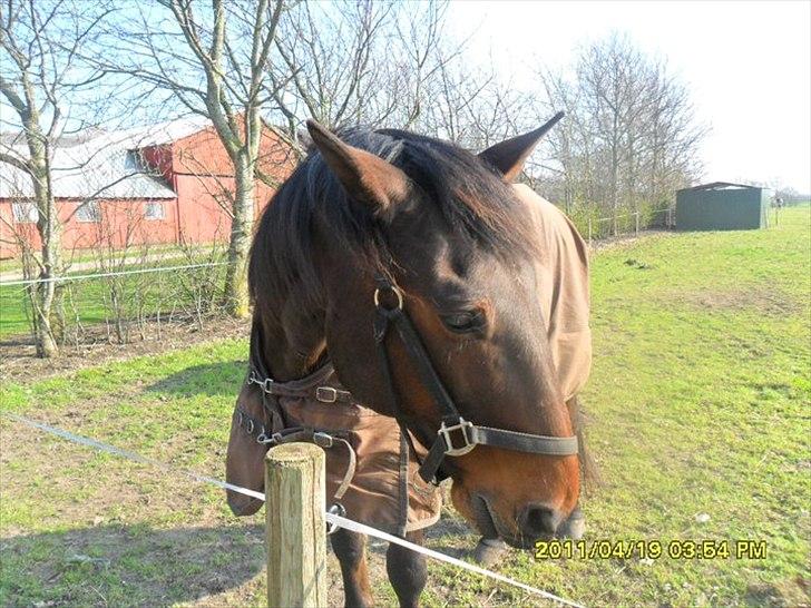 Traver Rune All Over (SAVNES!!) <3 - rune!<3 billede 5