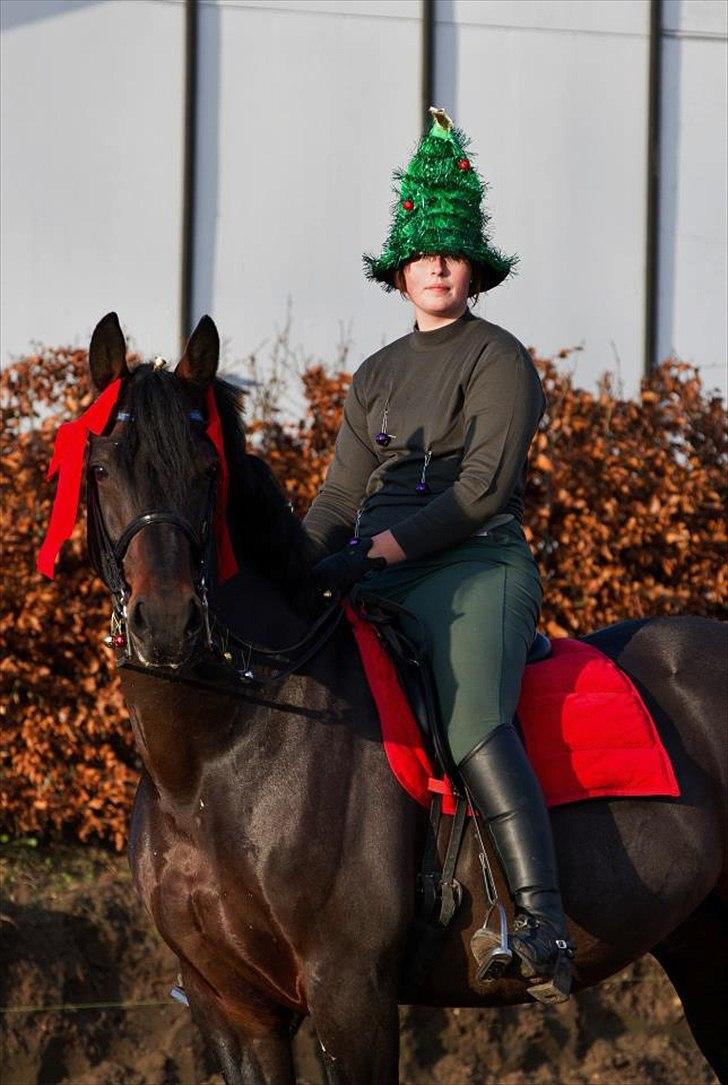 Oldenborg De Nero Af Støvlebæk - Juleafslutning SBR billede 3